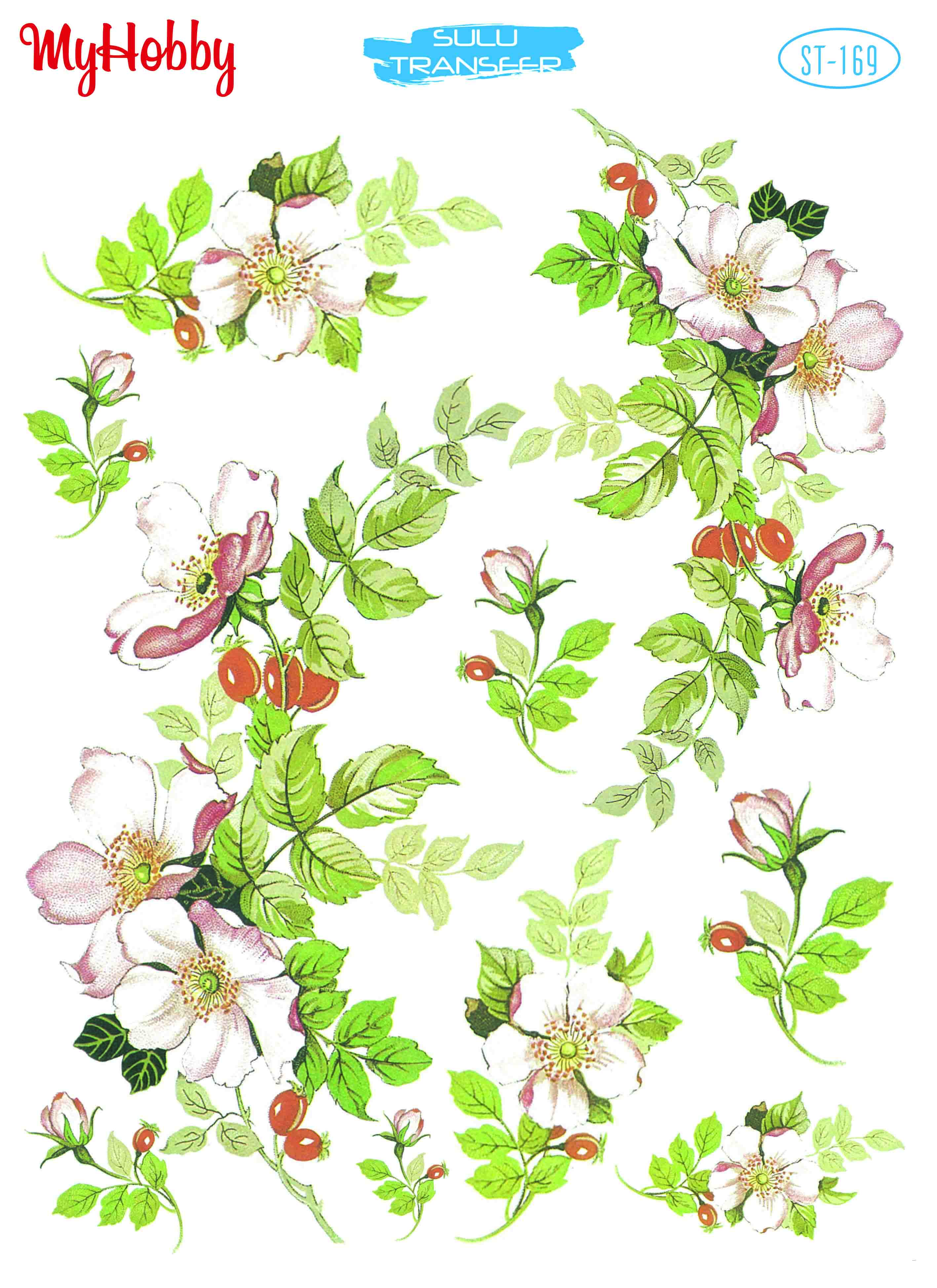 My Hobby Sulu Transfer 25*35 cm STB-169