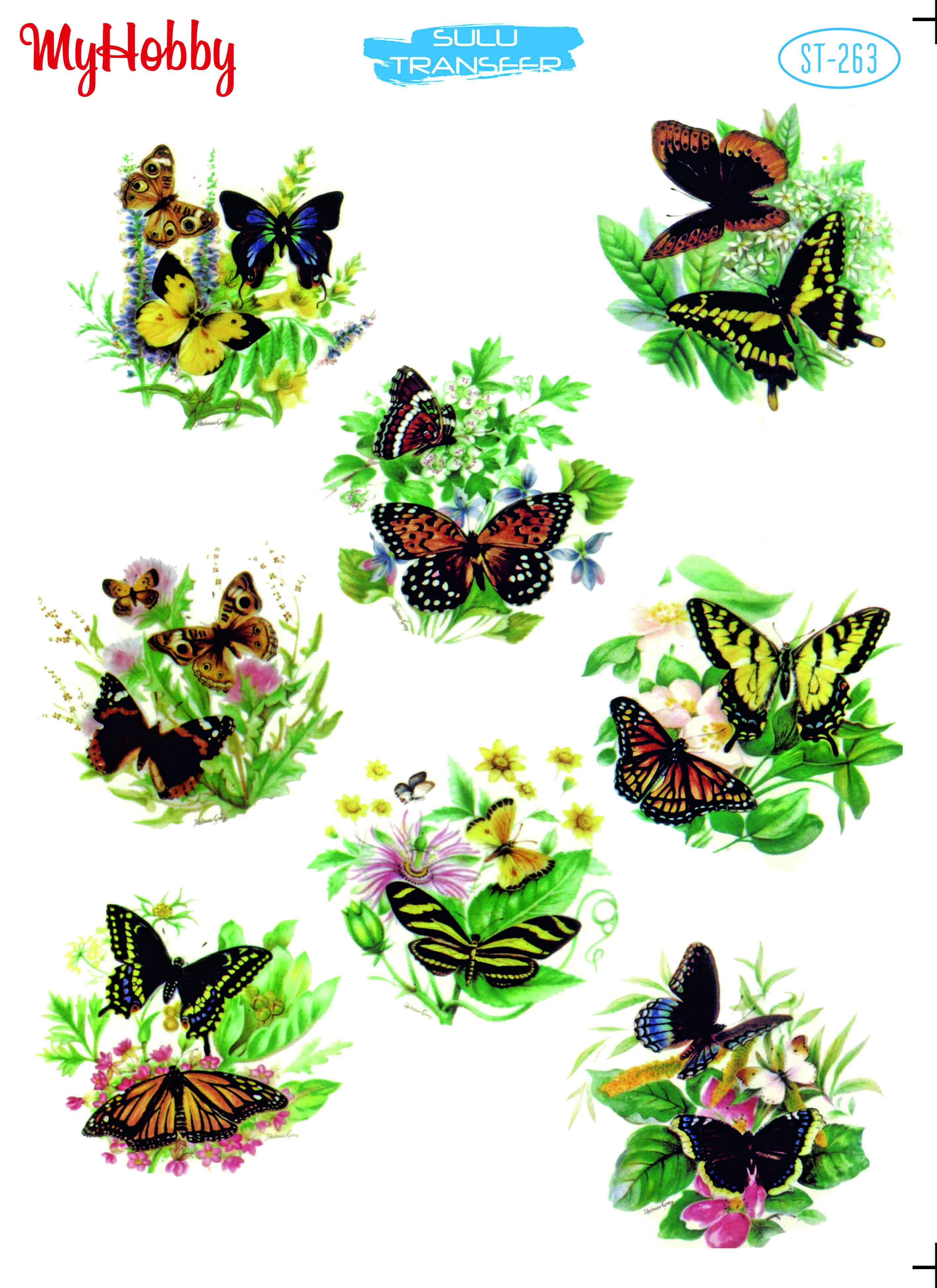 My Hobby Sulu Transfer 25*35 cm STB-263