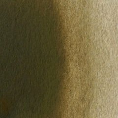 Van Gogh Tablet Suluboya Raw Umber 408 