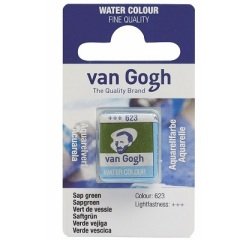 Van Gogh Tablet Suluboya Sap Green 623