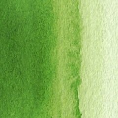Van Gogh Tablet Suluboya Sap Green 623