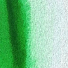 Van Gogh Tablet Suluboya Permanent Green 662