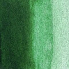 Van Gogh Tablet Suluboya Hooker Green Deep 645