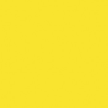 PEBEO PORCELAİNE 150 FIRINLANABİLİR PORSELEN BOYASI 48 DAFFODİL