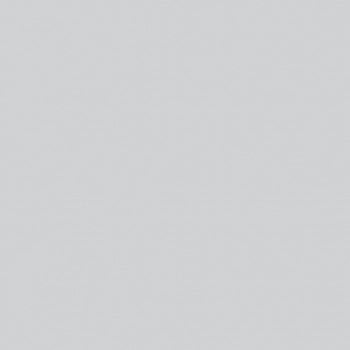 PEBEO PORCELAİNE 150 FIRINLANABİLİR PORSELEN BOYASI 110 SİLVER