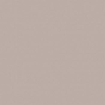 PEBEO PORCELAİNE 150 FIRINLANABİLİR PORSELEN BOYASI 54 TAUPE