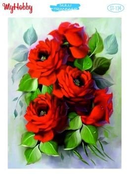 My Hobby Sulu Transfer 25*35 cm STB-134