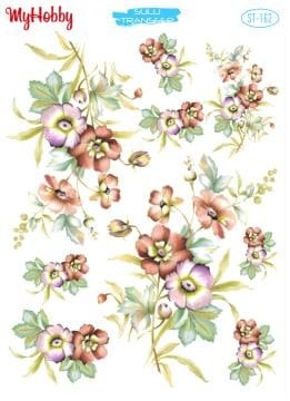 My Hobby Sulu Transfer 25*35 cm STB-162