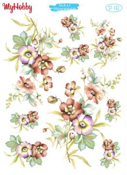 My Hobby Sulu Transfer 25*35 cm STB-162