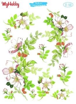 My Hobby Sulu Transfer 25*35 cm STB-169