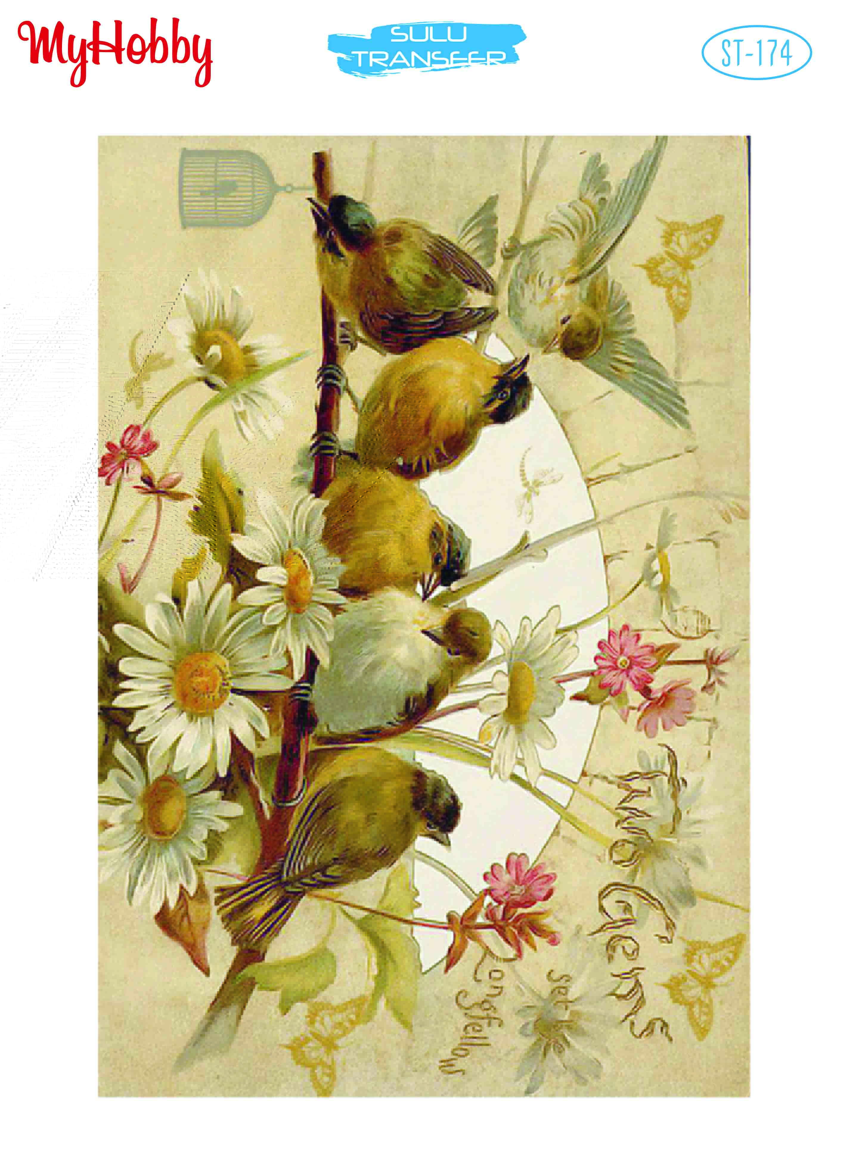 My Hobby Sulu Transfer 25*35 cm STB-174