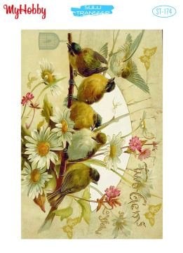 My Hobby Sulu Transfer 25*35 cm STB-174