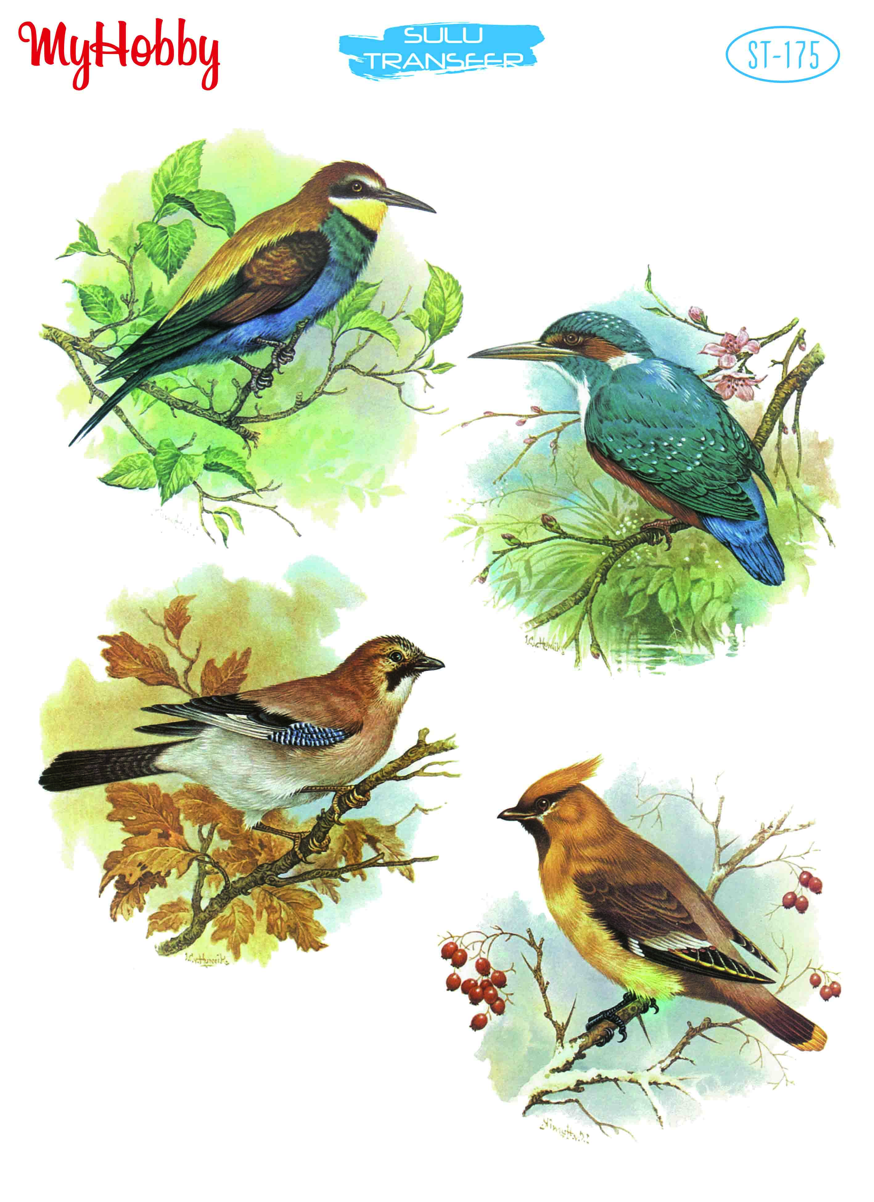 My Hobby Sulu Transfer 25*35 cm STB-175