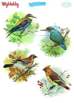 My Hobby Sulu Transfer 25*35 cm STB-175