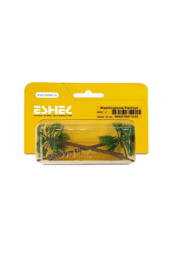 Eshel Maket Washingtonia Palmiye 2'li Set 10 cm