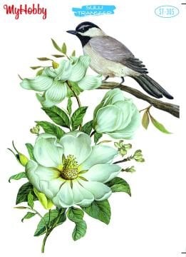 My Hobby Sulu Transfer 25*35 cm STB-305