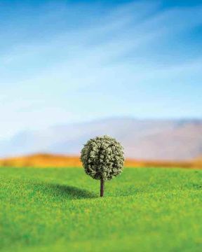 Eshel Maket Yuvarlak Ağaç Dalı Çam 6'lı Set 2 cm