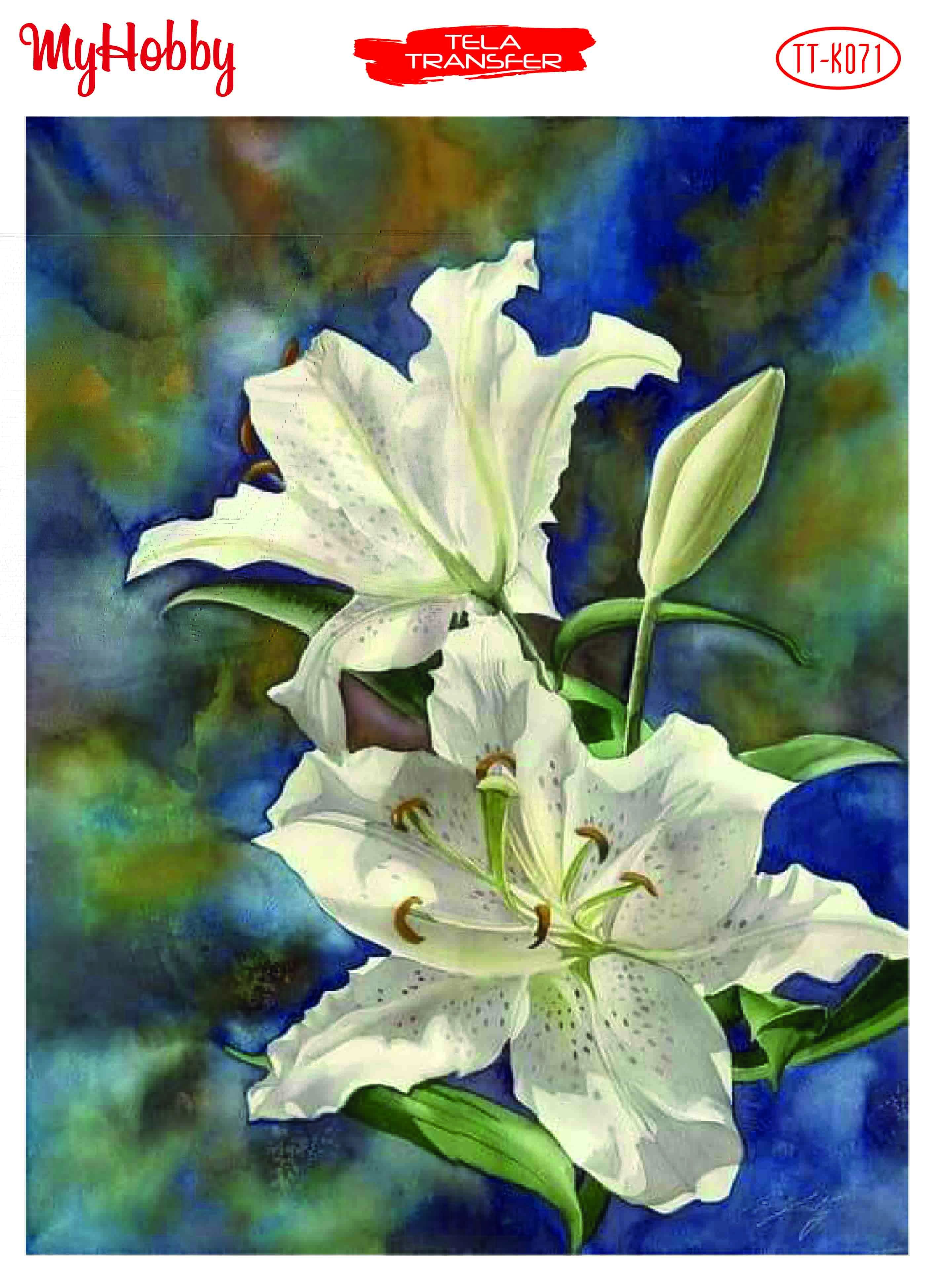 My Hobby Tela Transfer 25*35 cm TTK-71