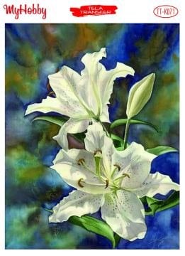 My Hobby Tela Transfer 25*35 cm TTK-71