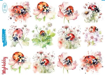 My Hobby Sulu Transfer 25*35 cm STB-486