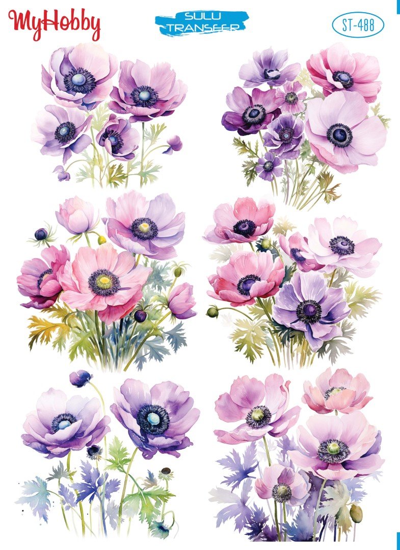 My Hobby Sulu Transfer 25*35 cm STB-488