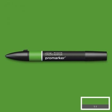Winsor Newton Promarker Kalem G356 Forest Green