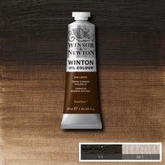 Winsor & Newton Winton 37 ml Yağlı Boya 35 Raw Umber