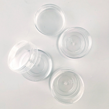 Şeffaf Akrilik Dikdörtgen Şişeli Palet Boya Saklama Küçük 10x12cm