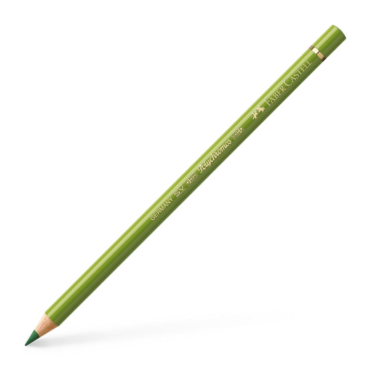 Faber Castell Polychromos Kuru Boya Kalemi 168 Earth Green Yellowish