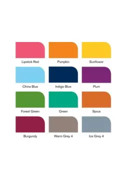 Winsor & Newton Promarker Set 12+1 Tattoo Tones (12 x Renk + Karıştırıcı)