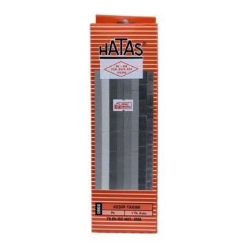 Hatas Kesir Takımı